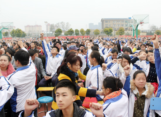 10161747_4.jpg